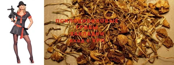 шишки Верхнеуральск